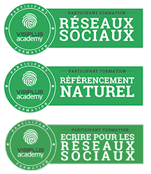 Badges de formation stratégie webmarketing et communication