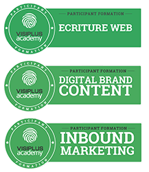 Badges de formation stratégie webmarketing et communication